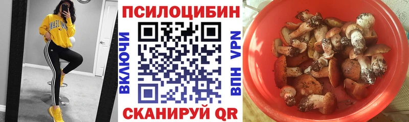 mega ONION как найти закладки Темрюк Галлюциногенные грибы Psilocybe